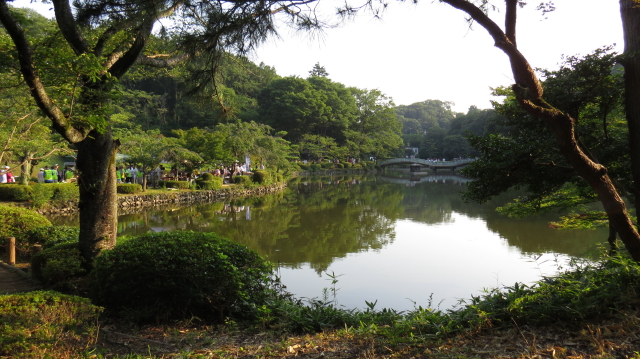 薬師池（町田）