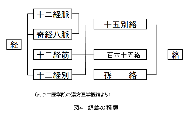 経絡の種類